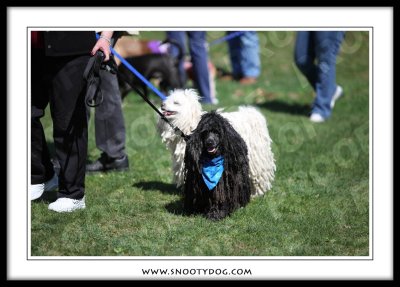 IMG_1500.jpg