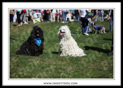 IMG_1506.jpg
