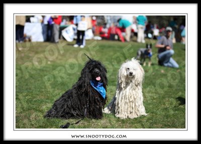 IMG_1521b.jpg