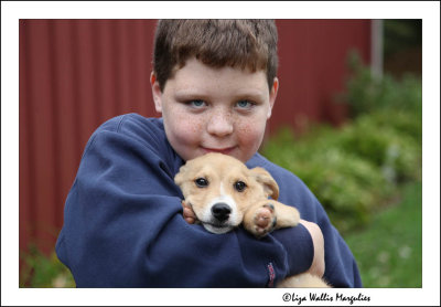 SPCA Adoption Extravaganza - October 10 and 11 2009