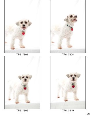 HSKC_Holiday08-Proof_Sheets_Keeps-27.jpg