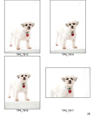 HSKC_Holiday08-Proof_Sheets_Keeps-28.jpg