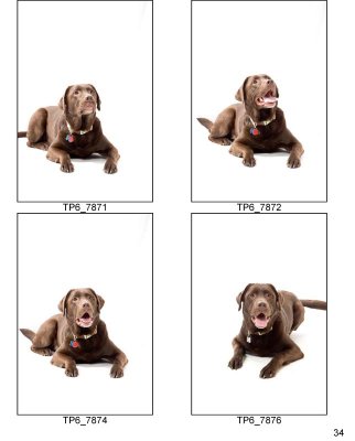 HSKC_Holiday08-Proof_Sheets_Keeps-34.jpg