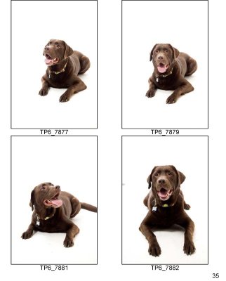 HSKC_Holiday08-Proof_Sheets_Keeps-35.jpg
