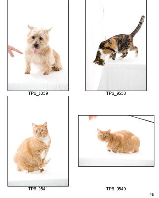 HSKC_Holiday08-Proof_Sheets_Keeps-45.jpg