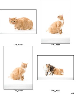 HSKC_Holiday08-Proof_Sheets_Keeps-46.jpg