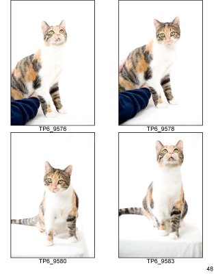 HSKC_Holiday08-Proof_Sheets_Keeps-48.jpg