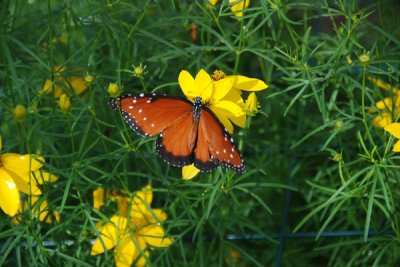 Hershey Gardens 11.jpg