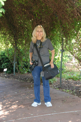 Dolly 03.jpg