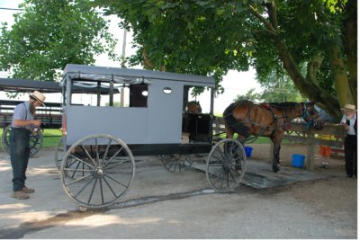 Amish Buggy 05  a.jpg