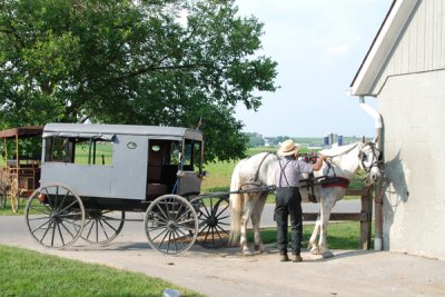 Amish Buggy 09  a.jpg
