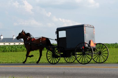Amish Buggy 10  b.jpg