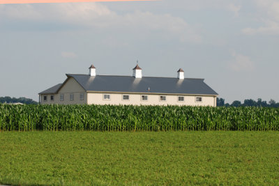 Amish Farm 04.jpg