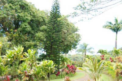 Botanical Garden 02.jpg
