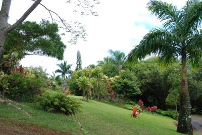 Botanical Garden 03.jpg