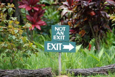 Botanical Garden 04.jpg