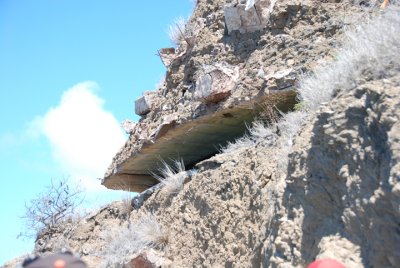 Diamond Head 03.jpg