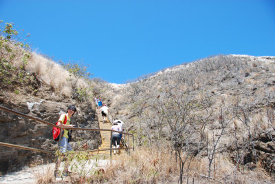 Diamond Head 08.jpg