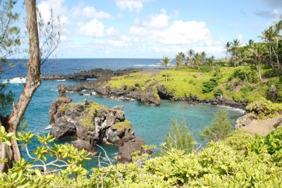 Lava Rocks 05.jpg