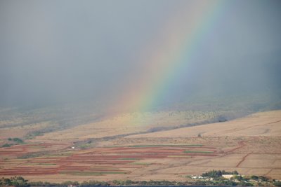 Maui 01.jpg