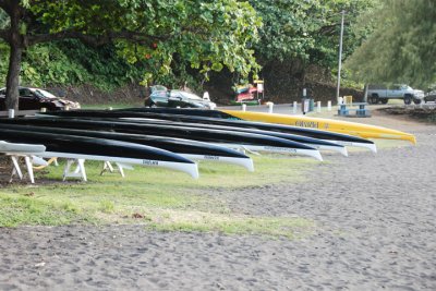 Outrigger Canoes 01.jpg