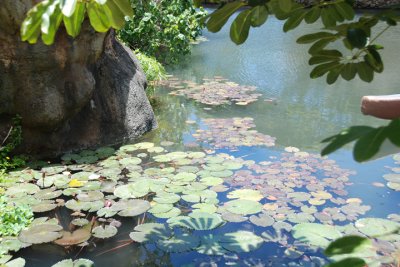 Polynesian Cultural Center 02.jpg