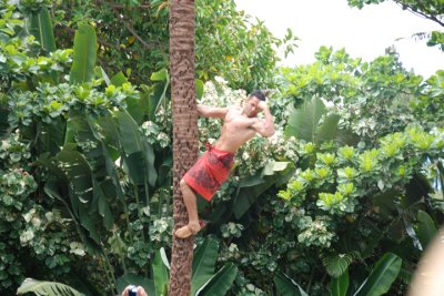 Polynesian Cultural Center 04.jpg