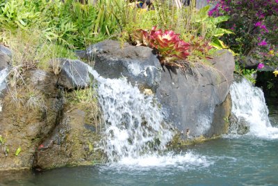 Polynesian Cultural Center 20.jpg