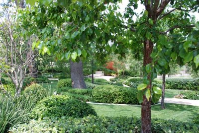 Mission San Fernando Bob Hope Garden 11.jpg