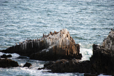 Rocks 02.jpg