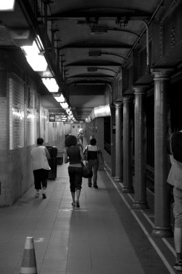 DSC0100b_lzn.jpg