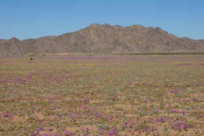 DSC_3889_edited-1.jpg