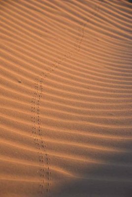 DSC_3905_edited-1.jpg