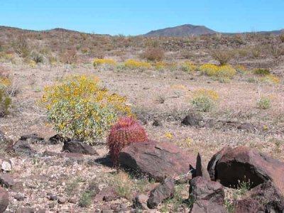 Gran Desierto Mexico