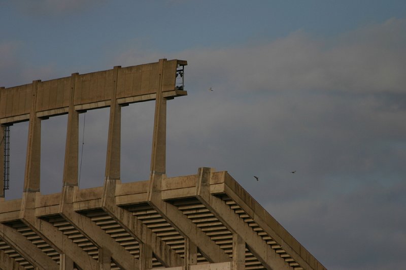 austin2008_005.jpg
