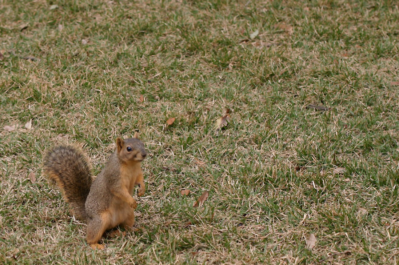austin2008_014.jpg