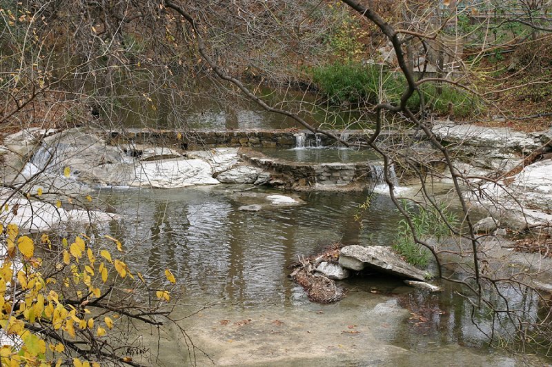austin2008_020.jpg