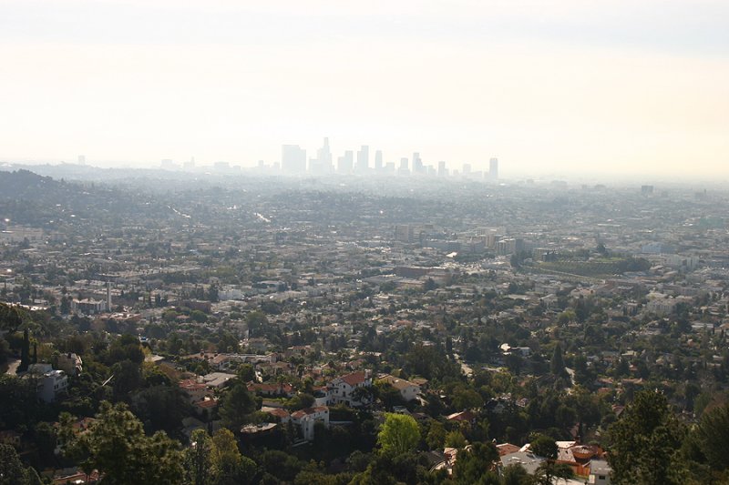 LA_016.jpg