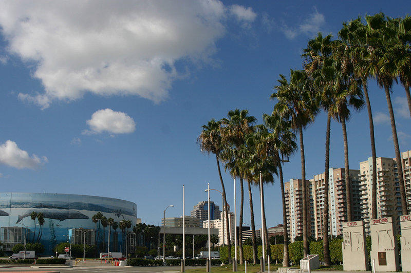 LBC_003.jpg