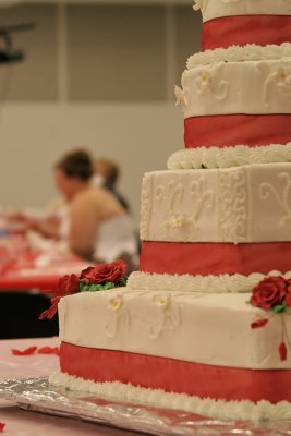 IMG_340.JPG