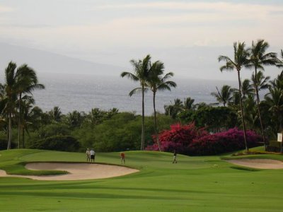 Golfing at the Wailea Gold