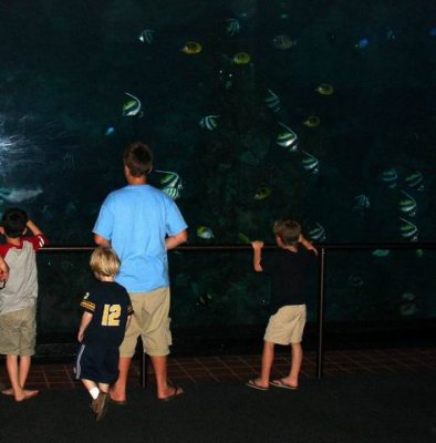 Boys at the Aquarium