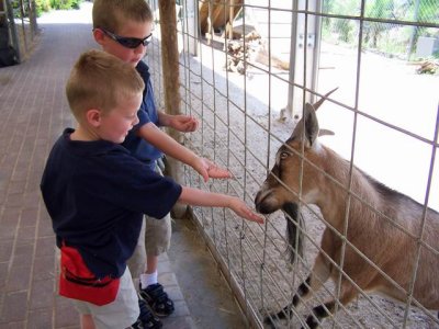 at the Zoo and Park - Florida