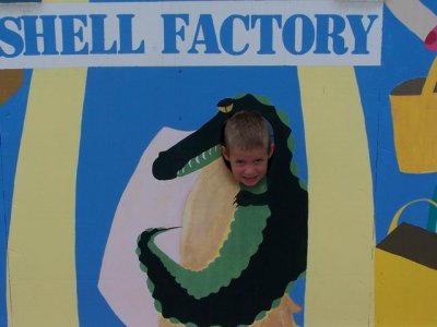 At the Shell Factory Reilly