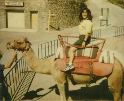 Rosie Col Sprgs on Camel