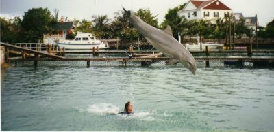 Bahamas 1992 3