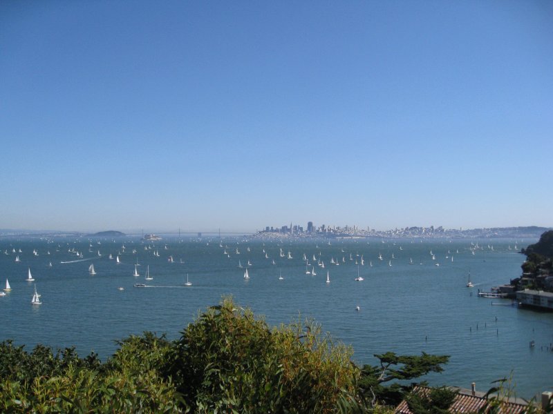 many boats