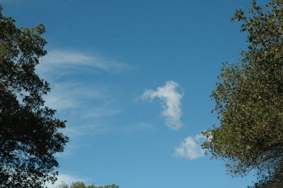 lone cloud