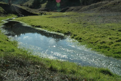 creek near Bon Tempe