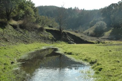 creek near Bon Tempe
